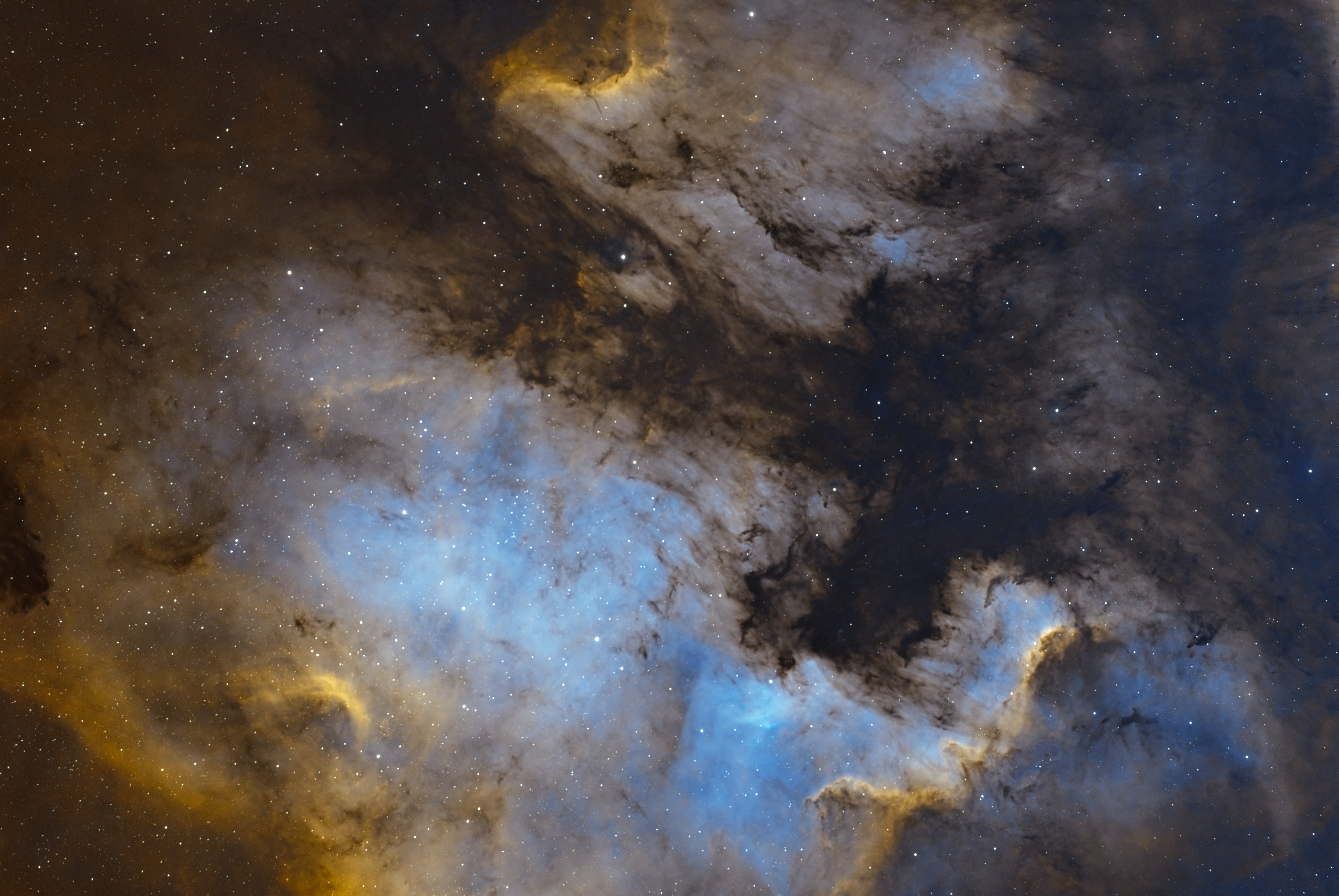 Nordamerikanebel NGC 7000